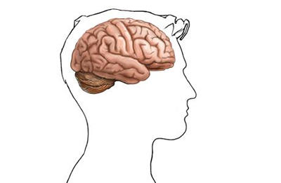 Brain Brain